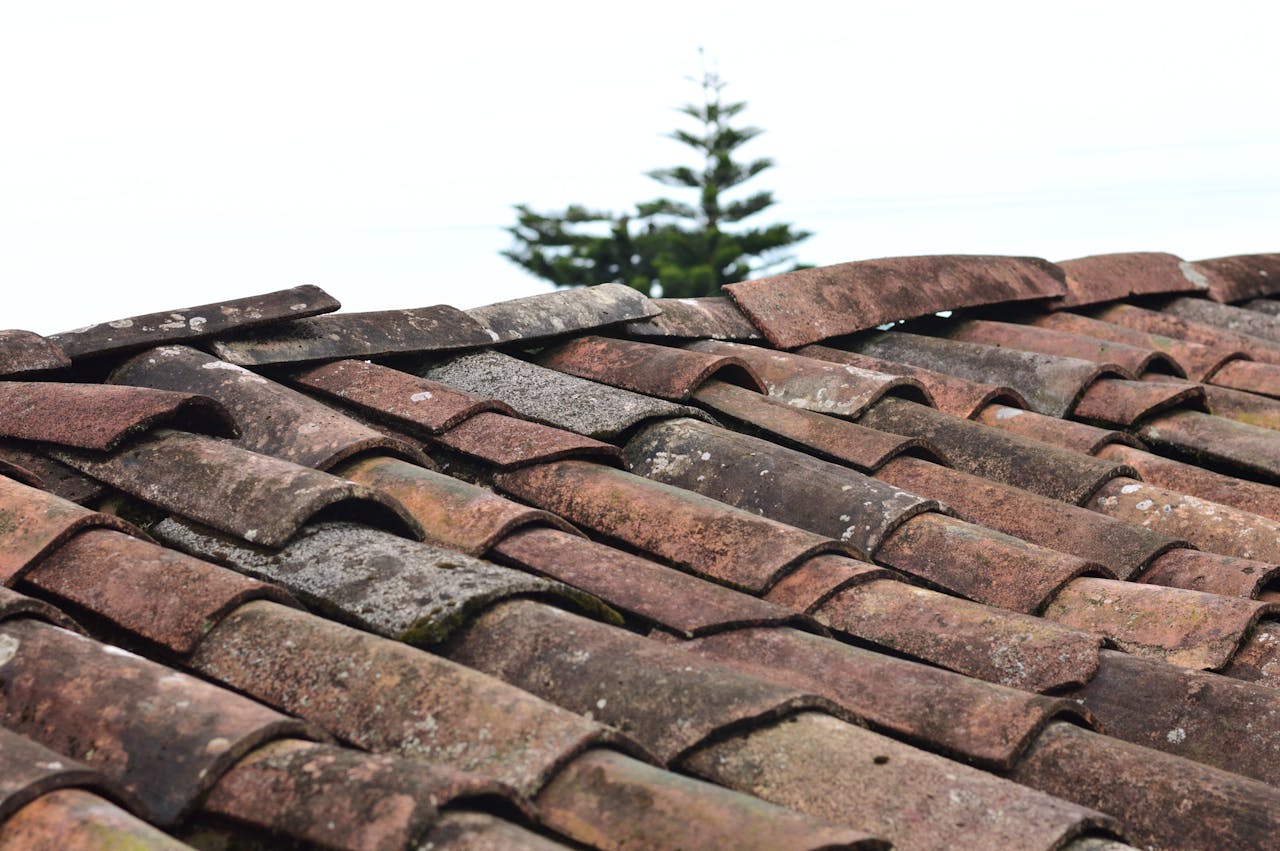 https://seonitro.com/members/webroot/siamemberimages/120/roof-leak-repair.jpg
