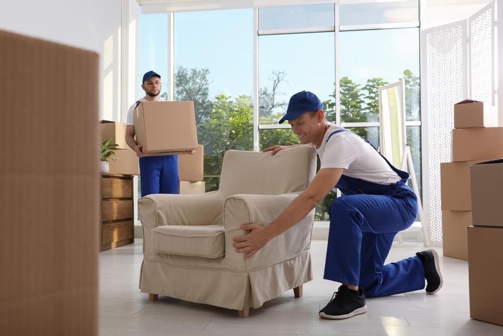 Apartment Moving Service Provider